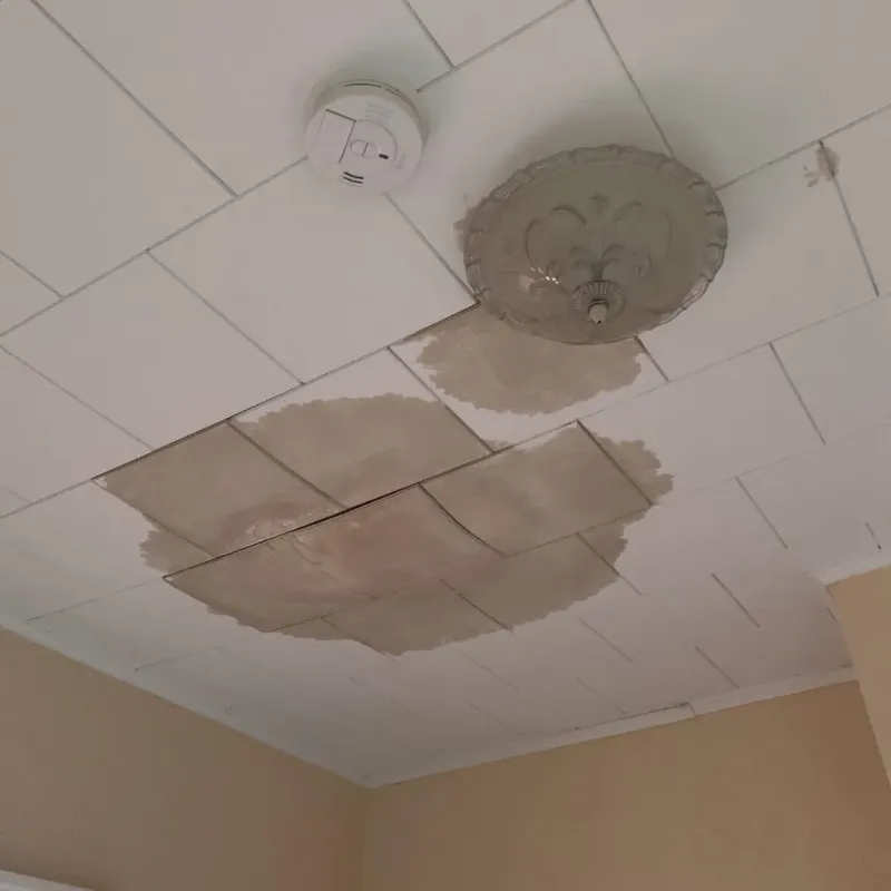 Ceiling Water Damage Repair in Summersville, WV