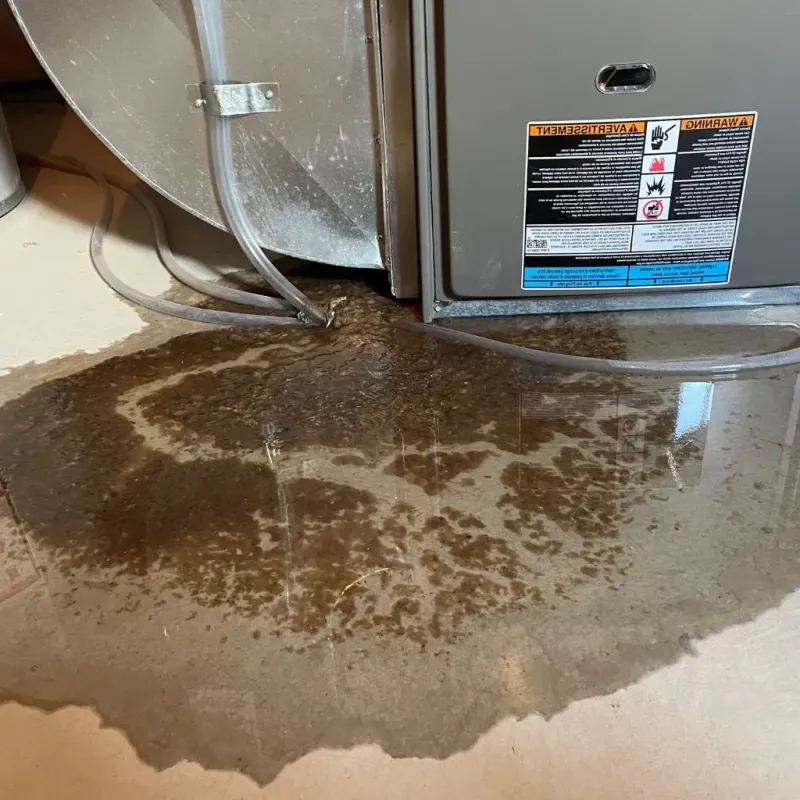 Pipe Burst and Leak Restoration in Summersville, WV
