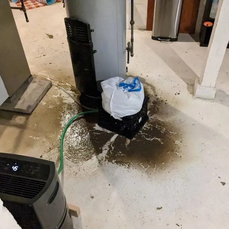 Sewage Backup Cleanup Service in Summersville, WV